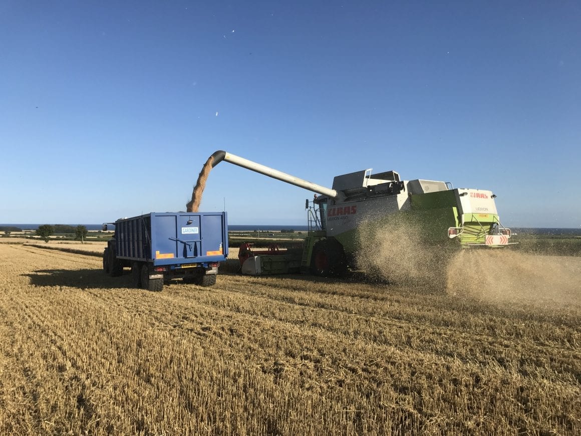 Harvest is underway