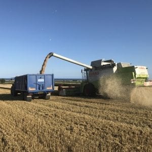 Harvest is underway