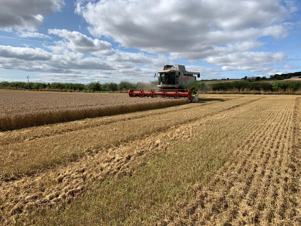 Harvest is finished!