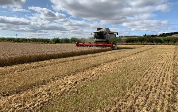 Harvest is finished!