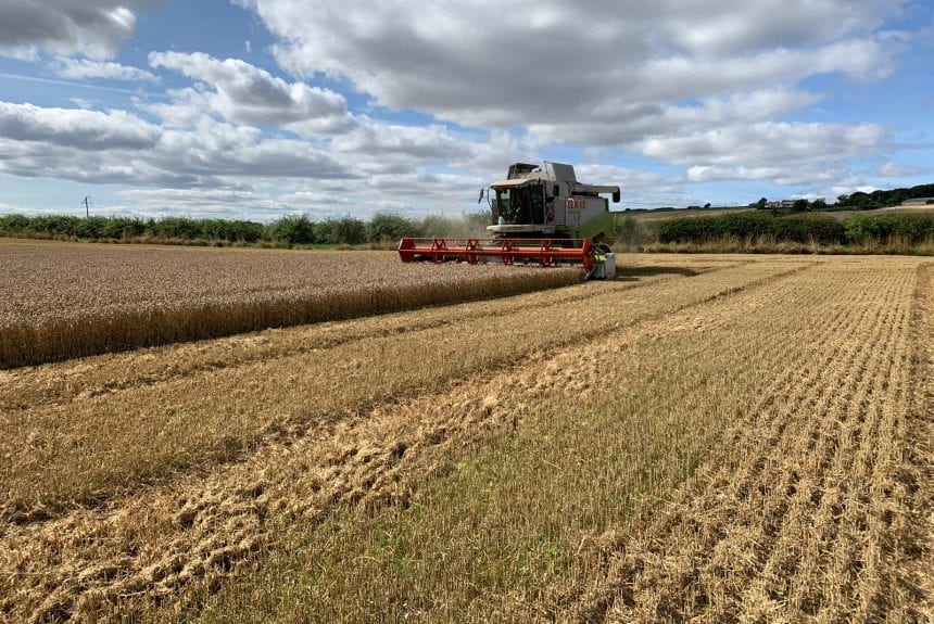 Harvest is finished!